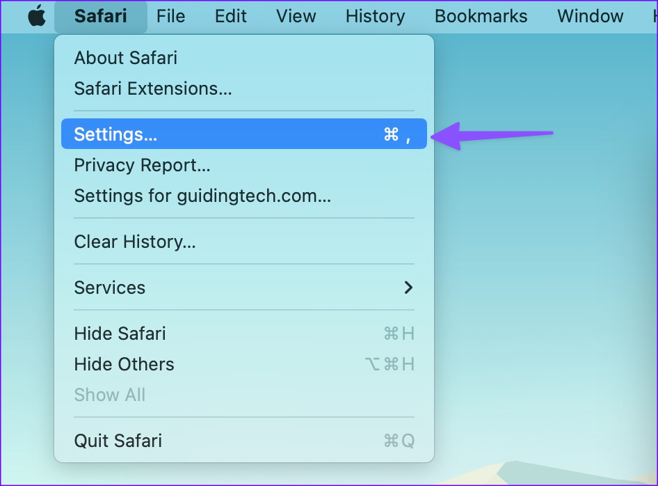 safari cannot find server mac