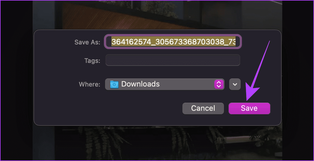 Save Media File to Your Computer - 19