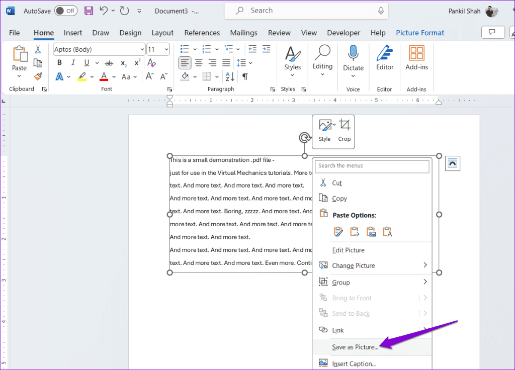 Save Text as Picture in Word