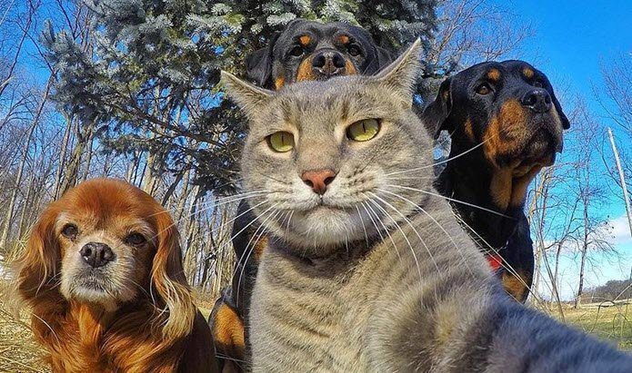 The Story behind the Greatest Selfie Ever Will Give You Goosebumps