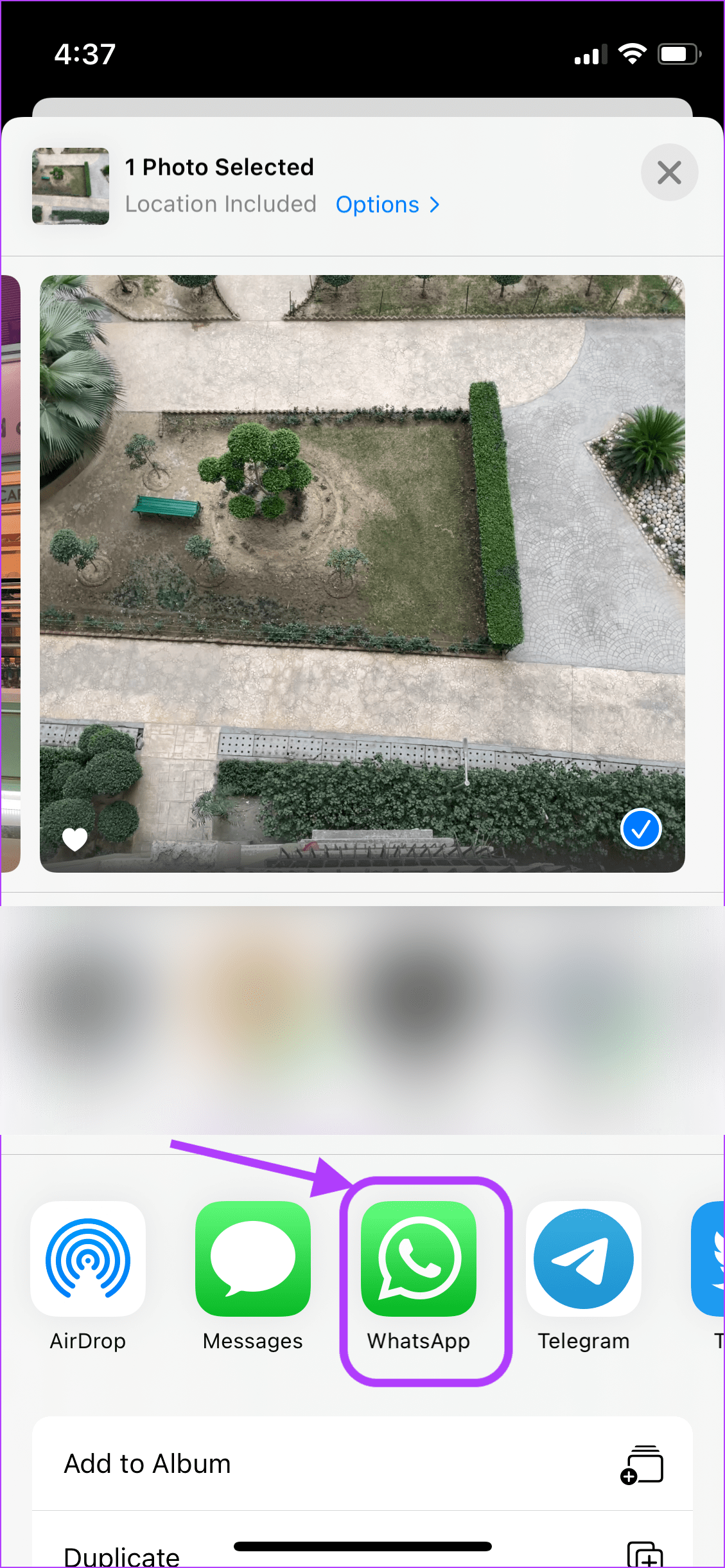 Send Live Photos as GIFs from Photos App 6