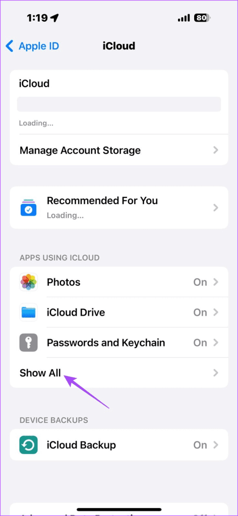 Show All in iPhone iCloud