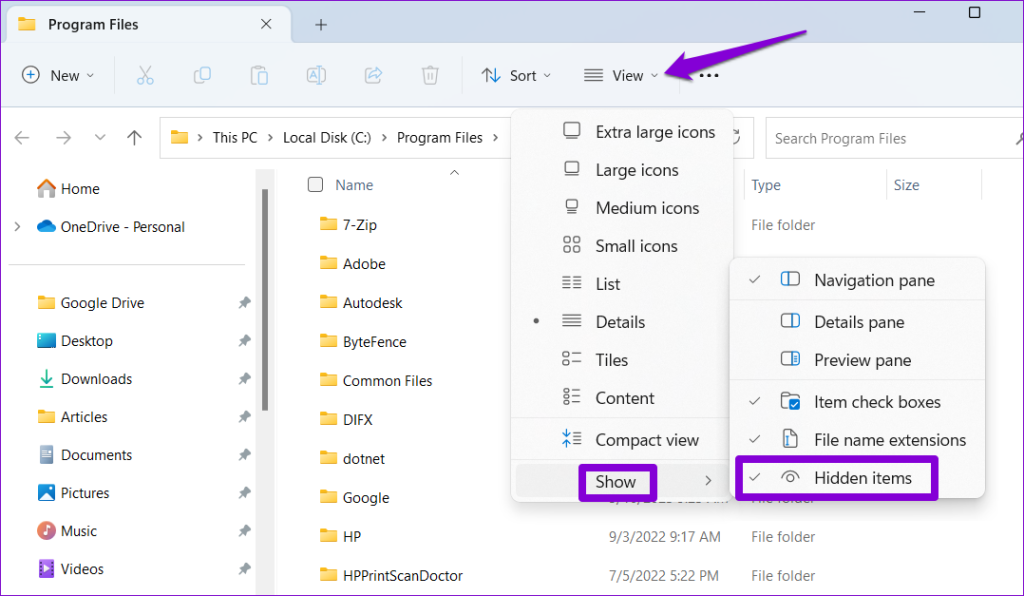 Show Hidden Items in File Explorer