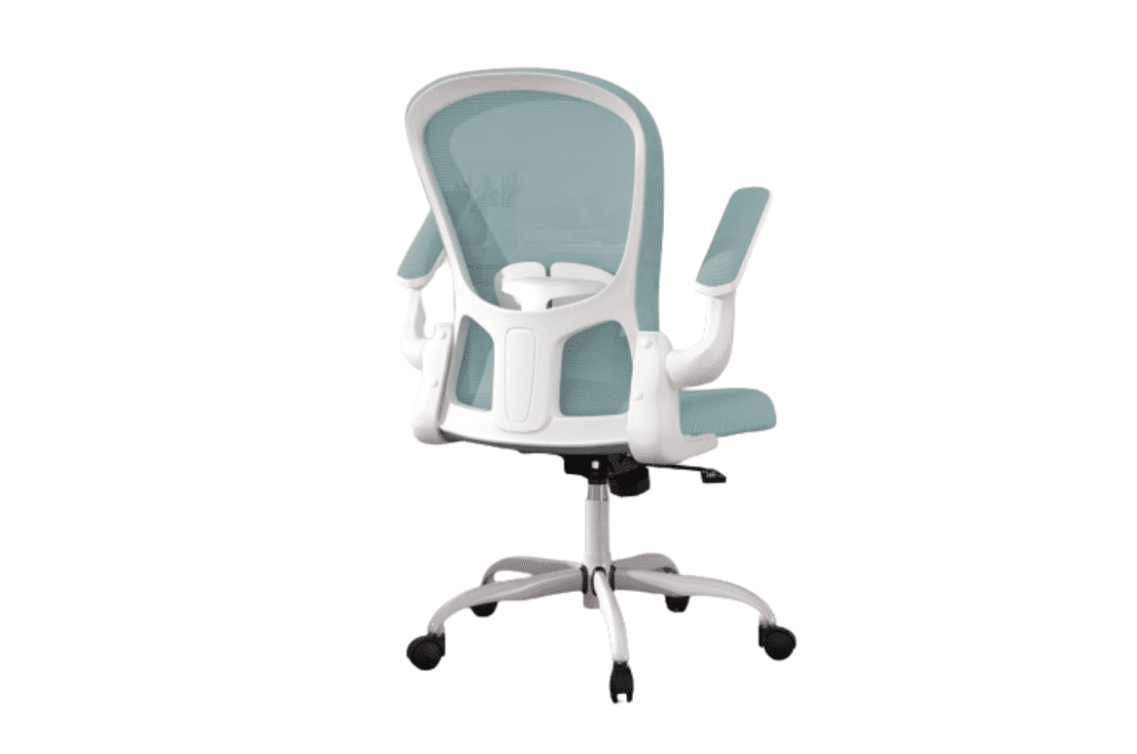 5 Best Ergonomic Office Chairs With Lumbar Support