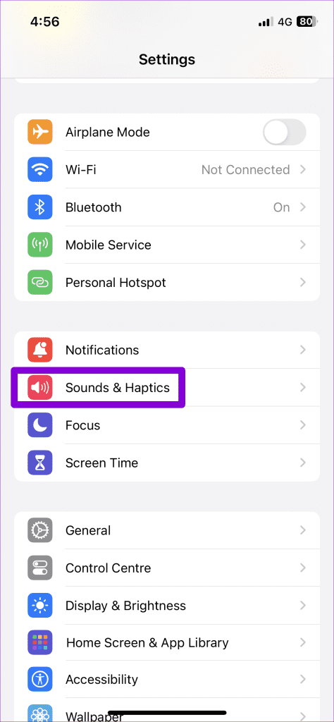 Sounds Haptics on iPhone 2
