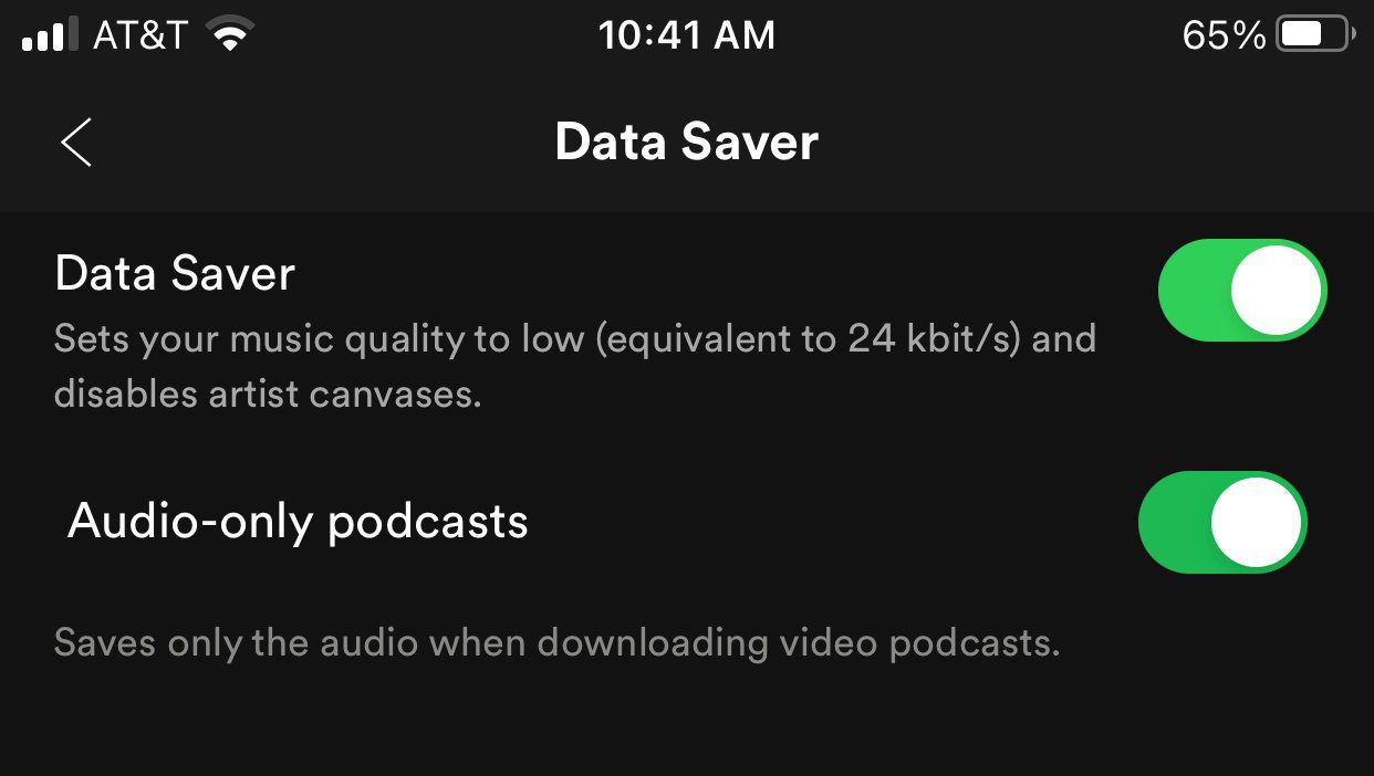 Параметры сохранения данных Spotify включены