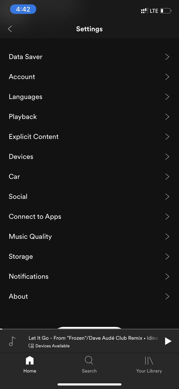 Spotify Features