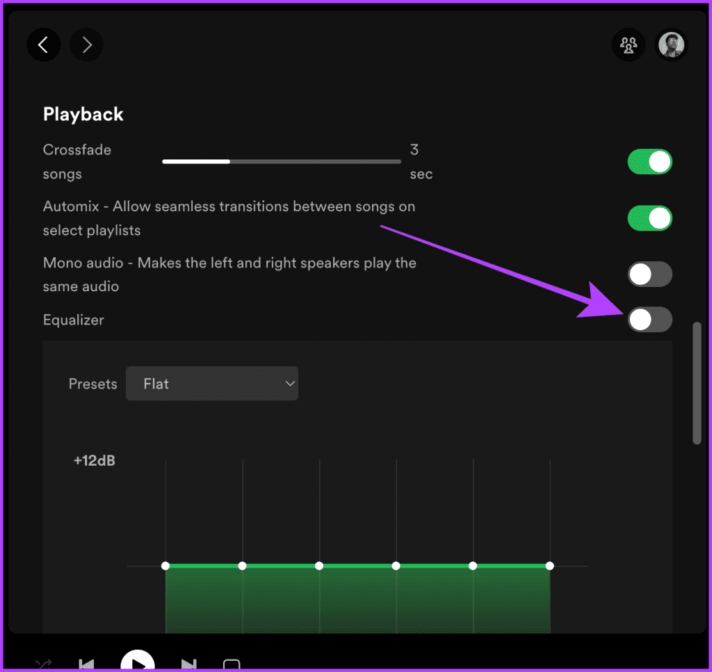 Spotify Playback Equalizer Settings on Computer