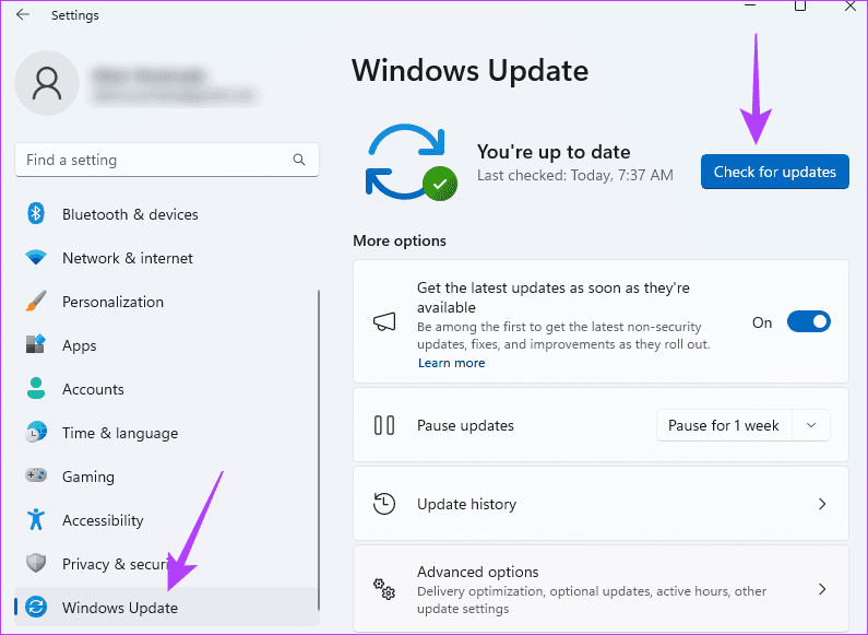 Starting Windows update