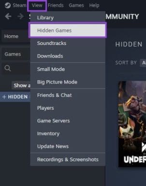 Steam Game Is Installed on PC But Not Showing in The App – How to Fix ...