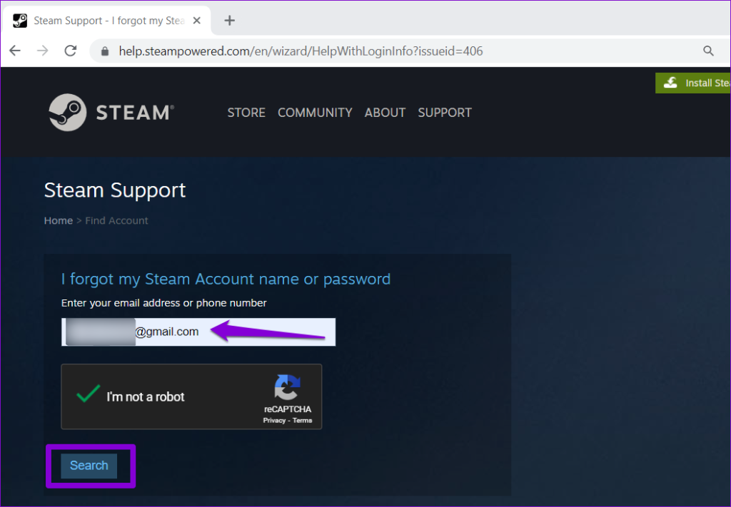 Steam Verify Email Page