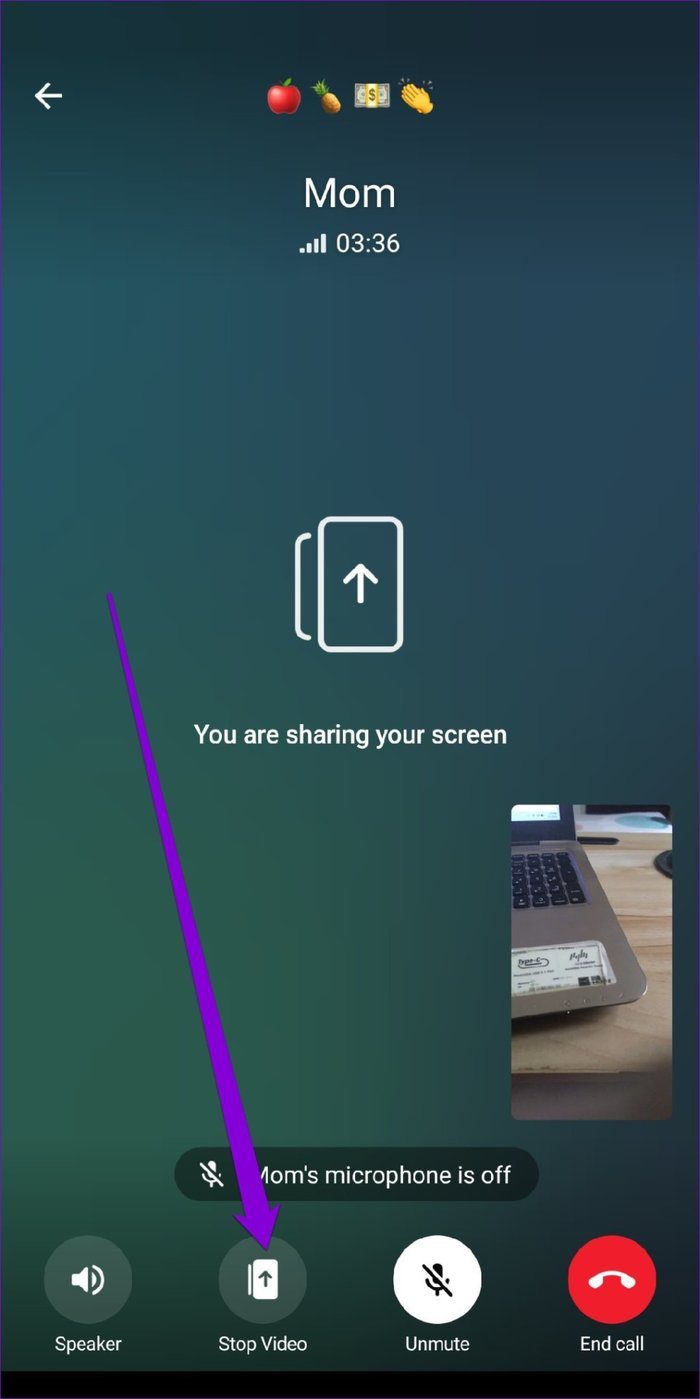 Stop Sharing Screen