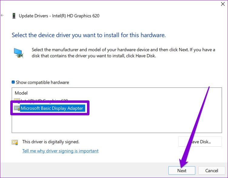 Switch Microsoft Basic Display Adapter on Windows