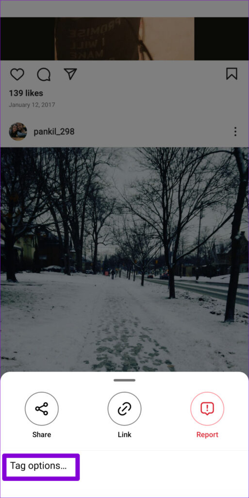 Tag Options on Instagram