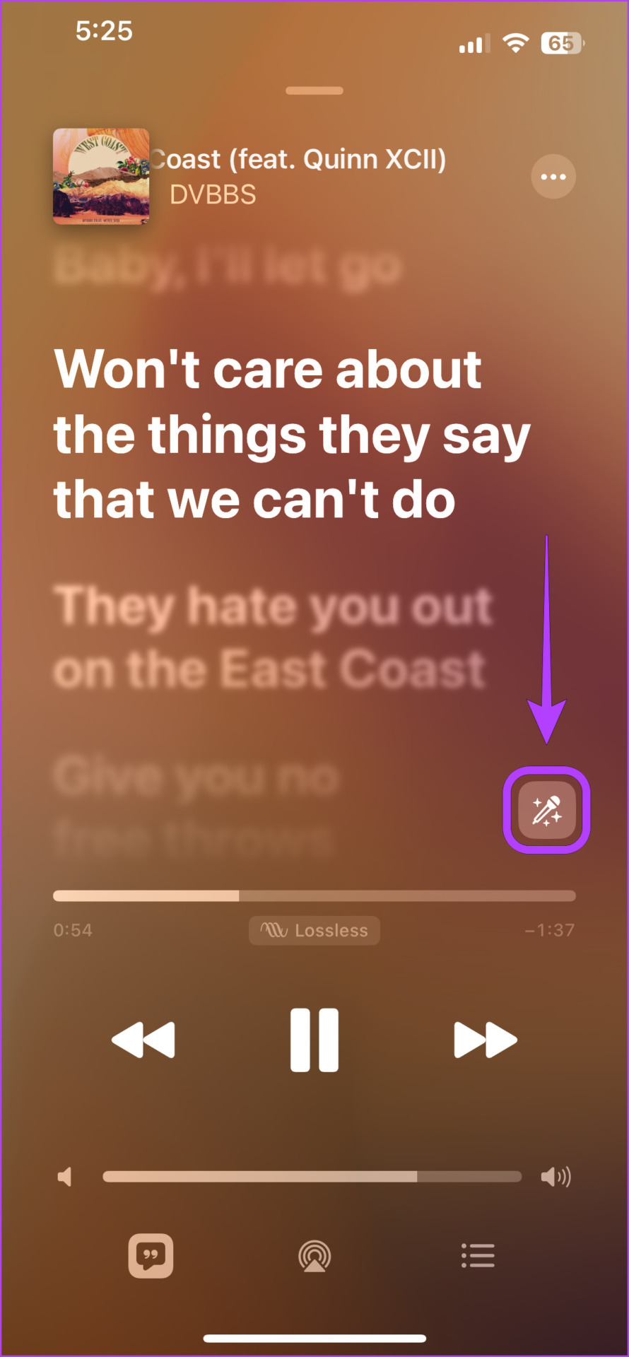 How to Fix Apple Music Sing (Karaoke Mode) Not Working on iPhone - 2
