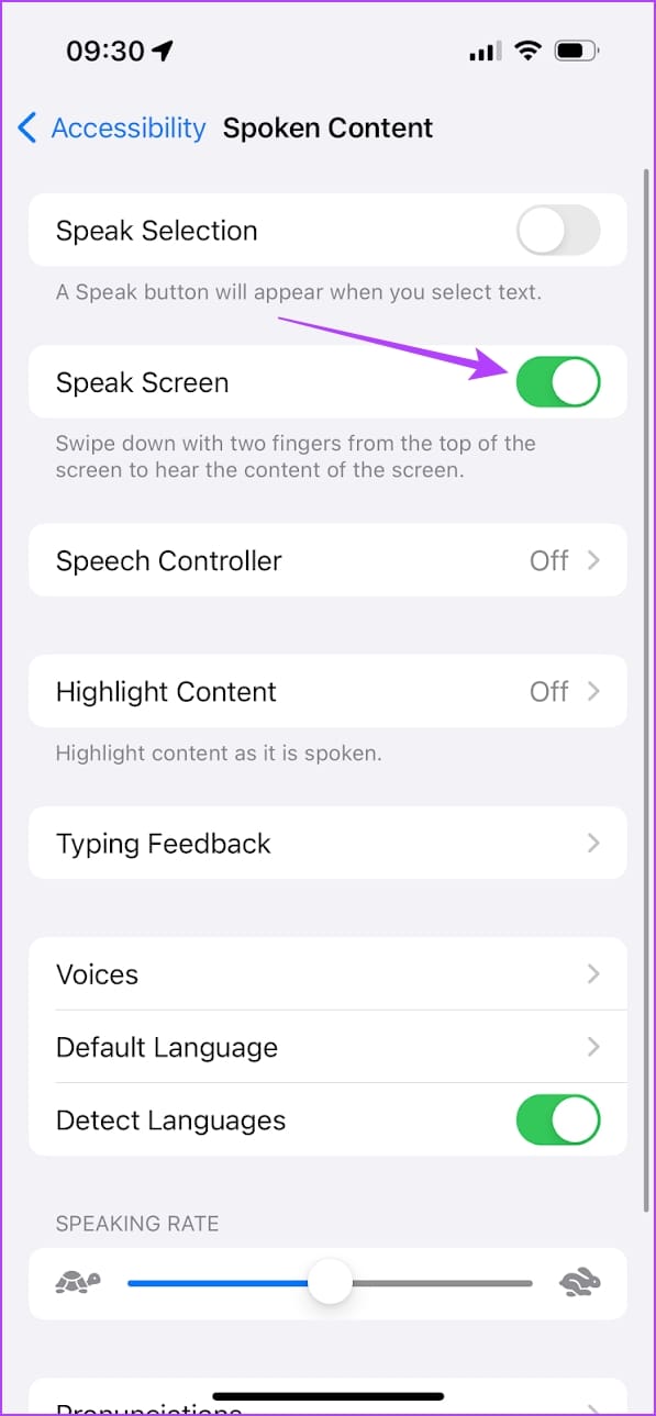 Turn On Toggle for Speak Screen
