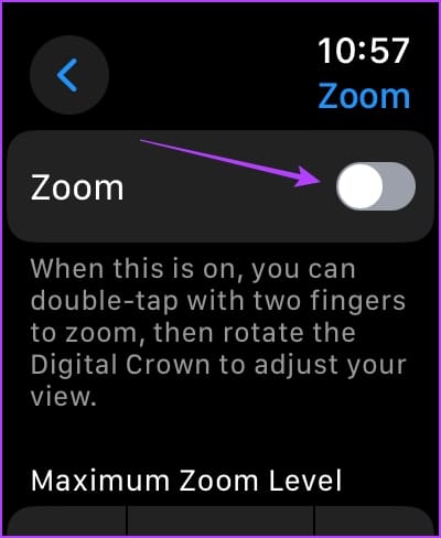 Turn off the toggle for Zoom