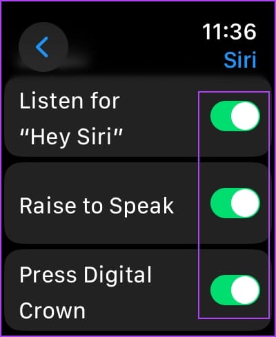 Turn on Toggles for Siri