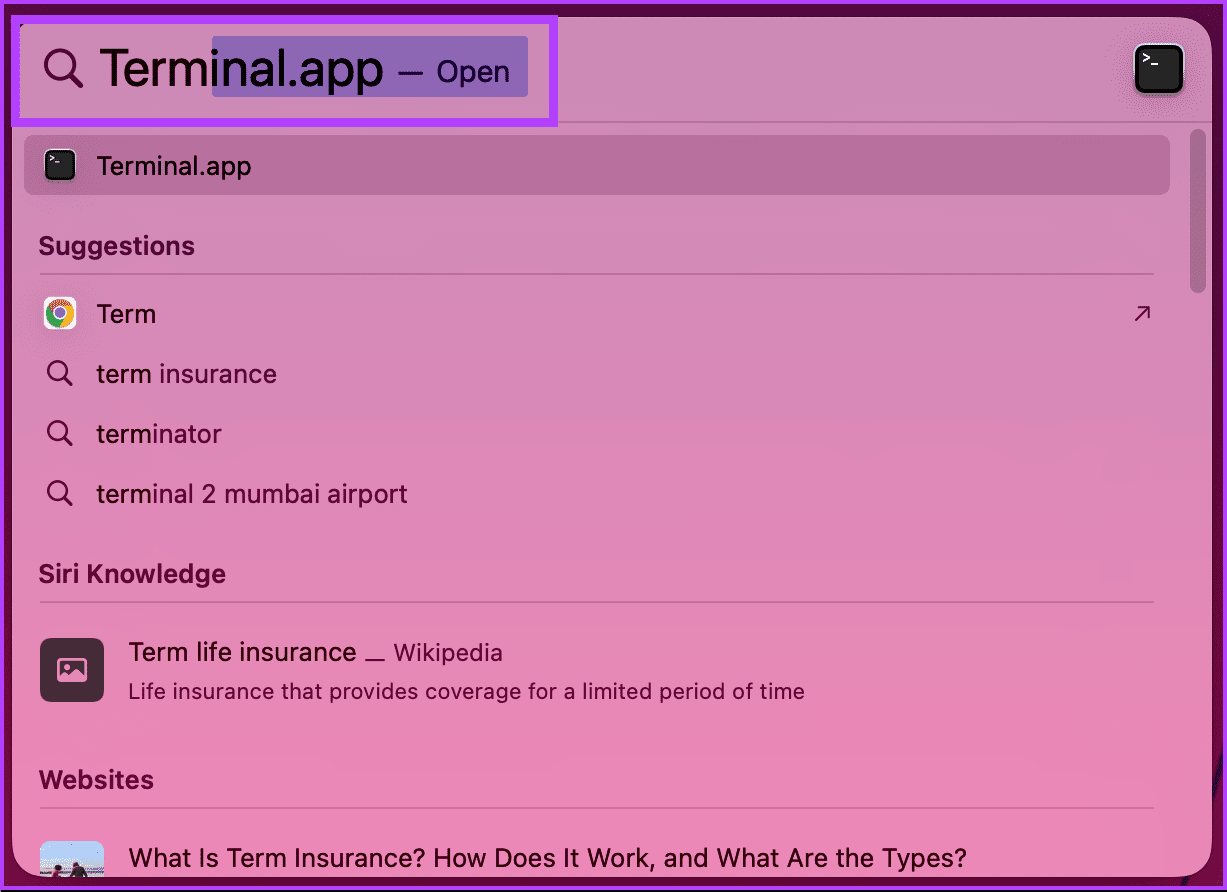 Type Terminal