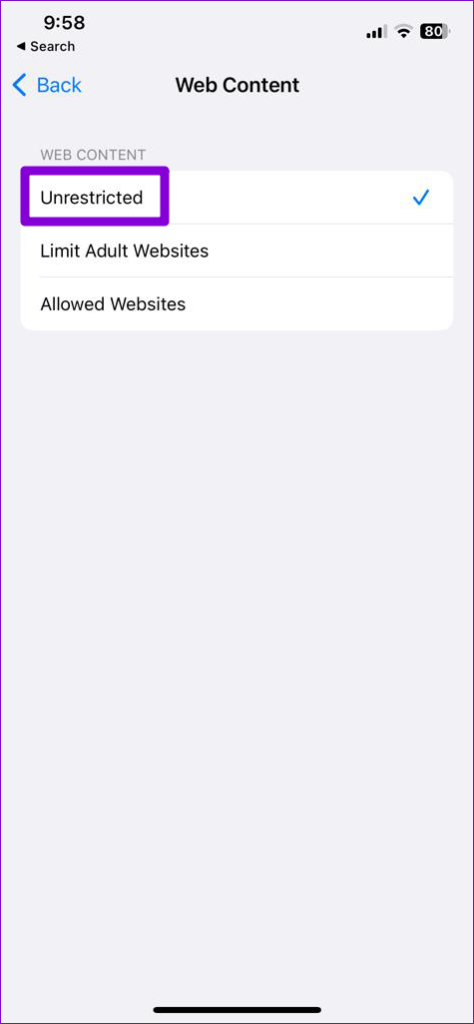 Unrestricted Web Content on iPhone