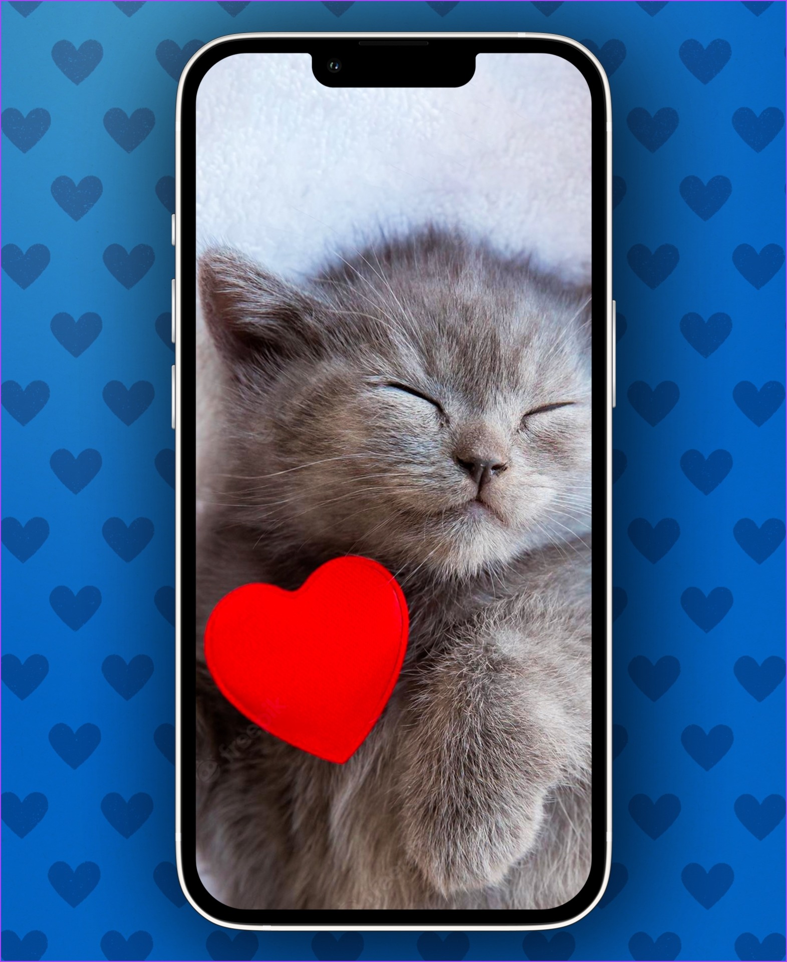 Valentine's Day Kitten Wallpaper