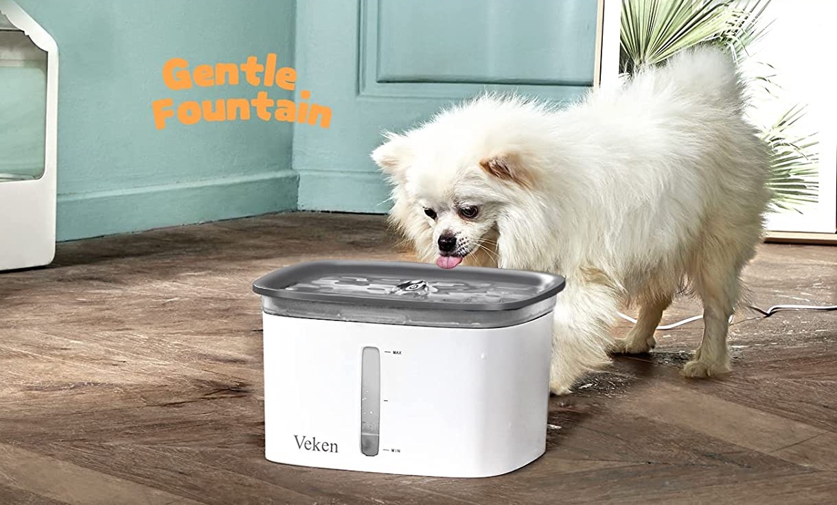 6 Best Automatic Dog Water Dispensers and Fountains Guiding Tech
