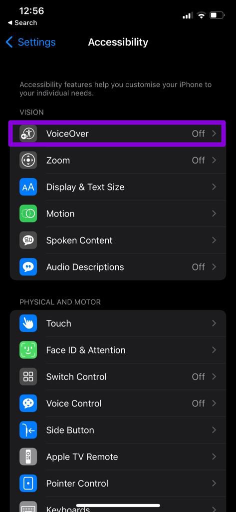 VoiceOver Settings on iPhone