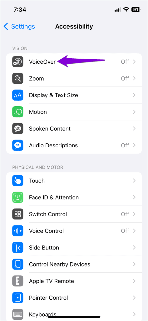 Voiceover on iPhone