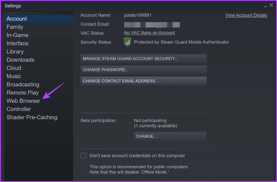 _Web Browser option in the Steam client