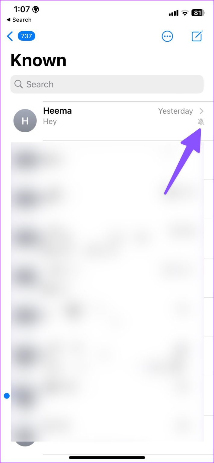 What Is Hide Alerts in Messages on iPhone, iPad, and Mac - Guiding Tech