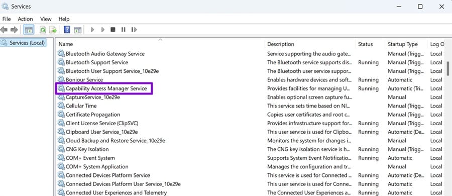 What Is Capability Access Manager and Why Does It Take Up Space 2
