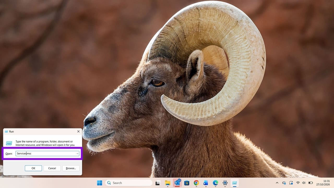 What Is Windows Health and Optimized Experiences Service 1