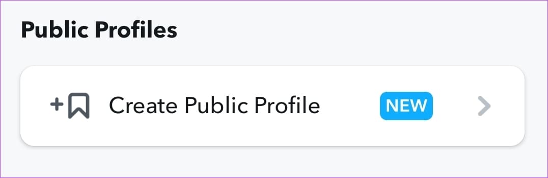 What Is a Public Profile on Snapchat and Its Benefits