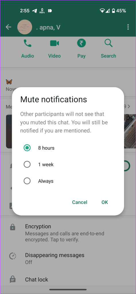 WhatsApp Chat Mute Time