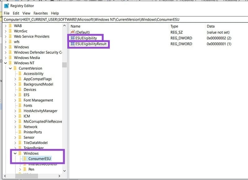 Windows 10 ESU Option Not Showing – What to Do 5