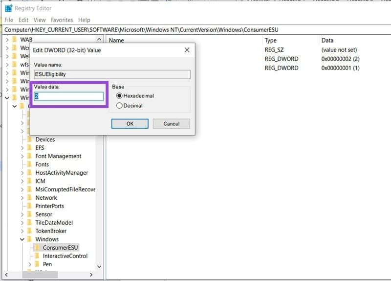 Windows 10 ESU Option Not Showing – What to Do 6