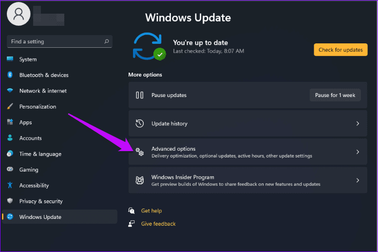 Windows update advanced options w11