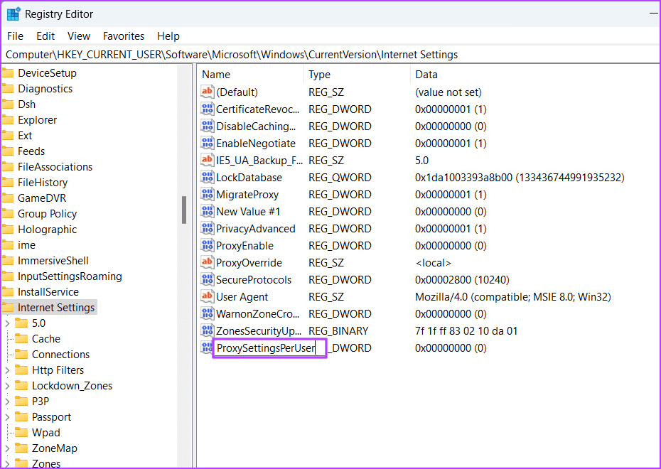 Wipe Proxy Settings Using Registry Editor