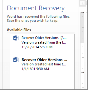 Word Document Recovery