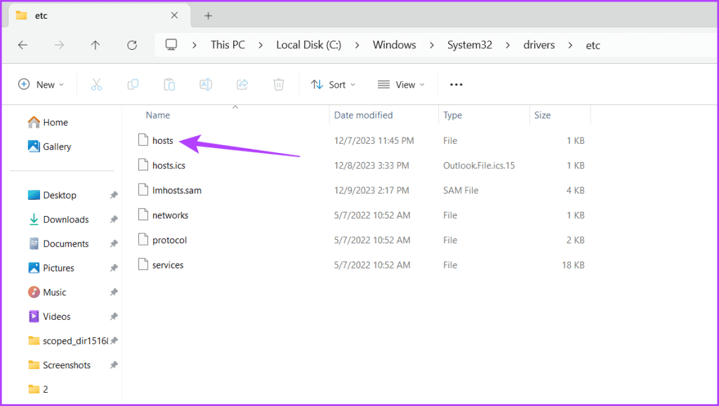 You can see your hosts files