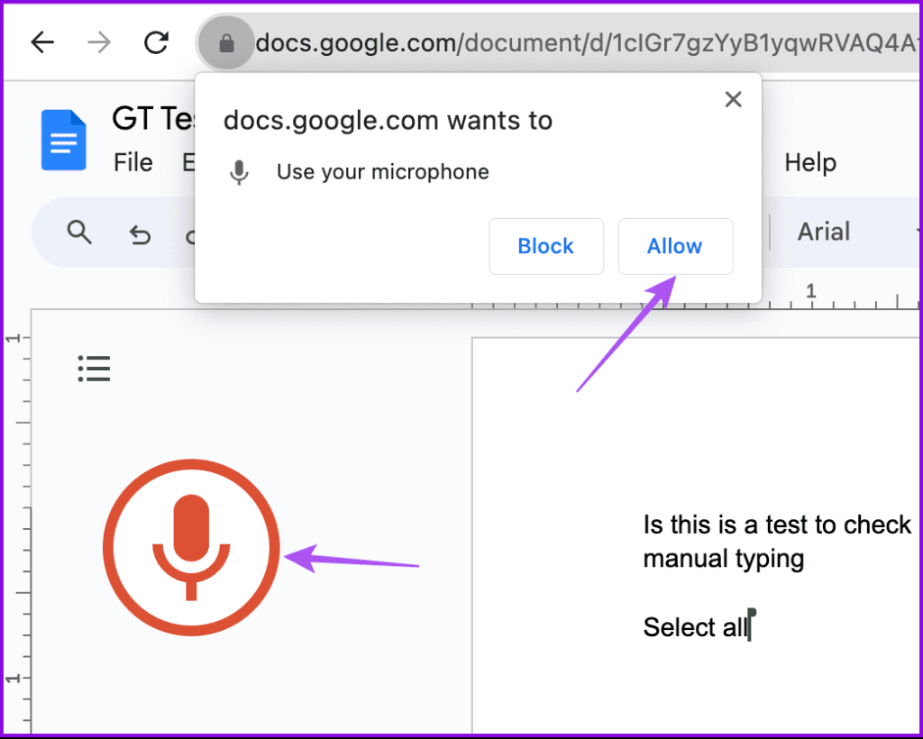 allow mic access voice typing google docs