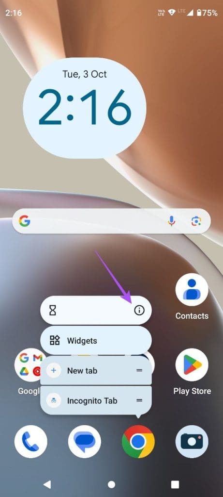 app info chrome android
