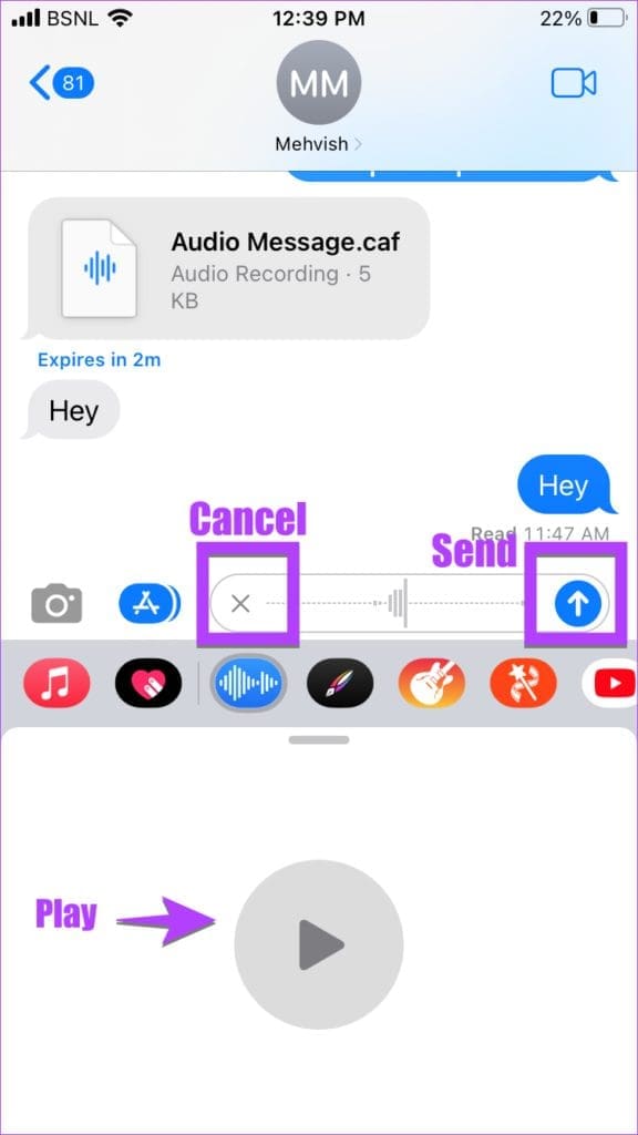audio text options on iOS 16 iPhone