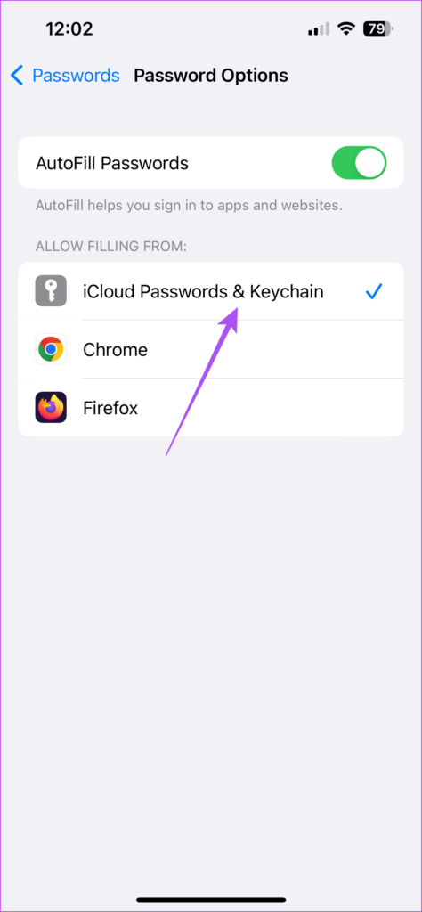 How to Generate Strong Passwords on iPhone  iPad  and Mac - 59