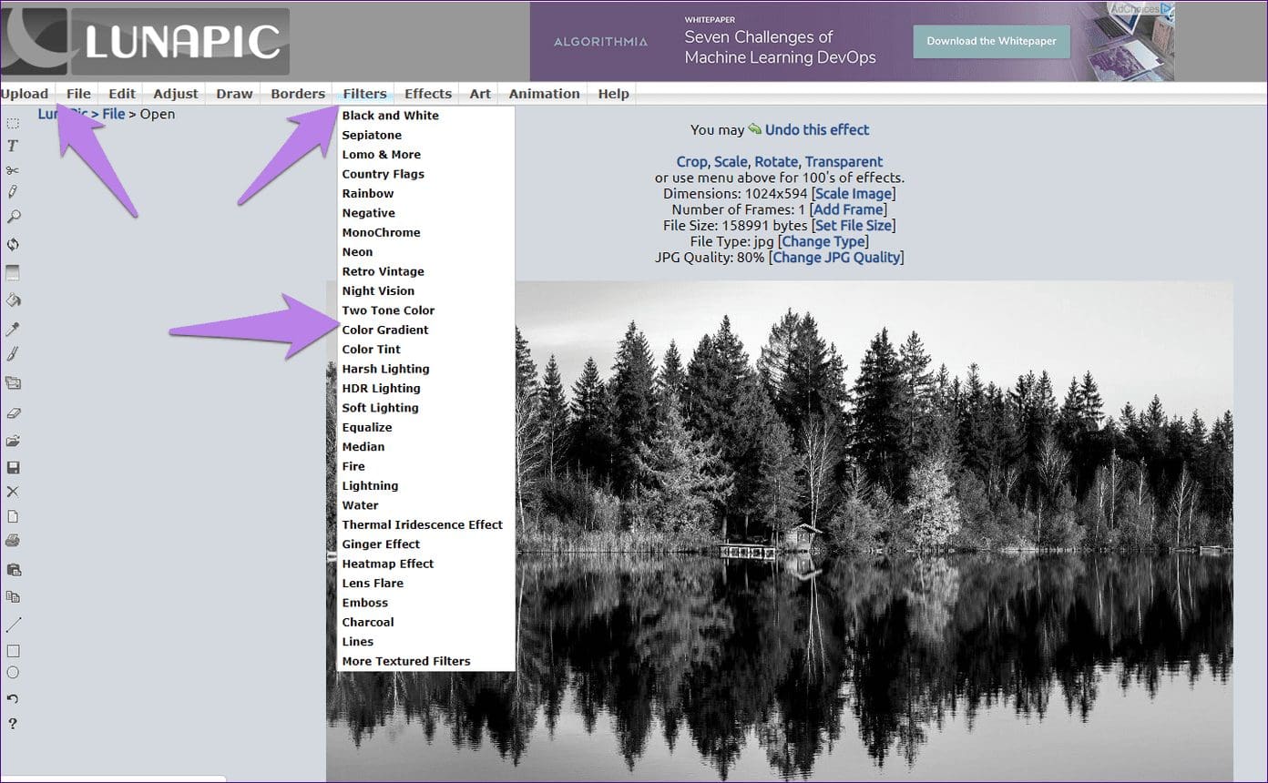 Best 4 Free Online Tools to Convert Black and White Photos to Color
