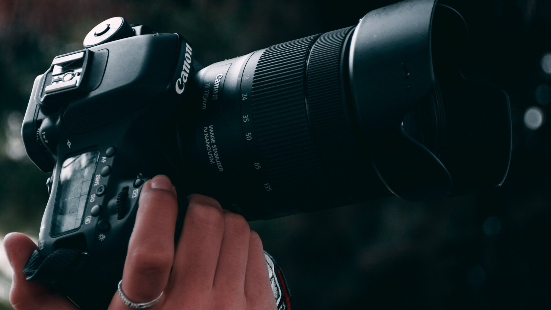 budget portrait lenses for Canon