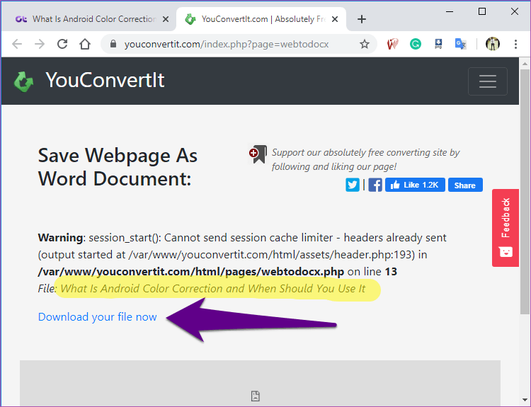 Convert Webpage Word Document 03