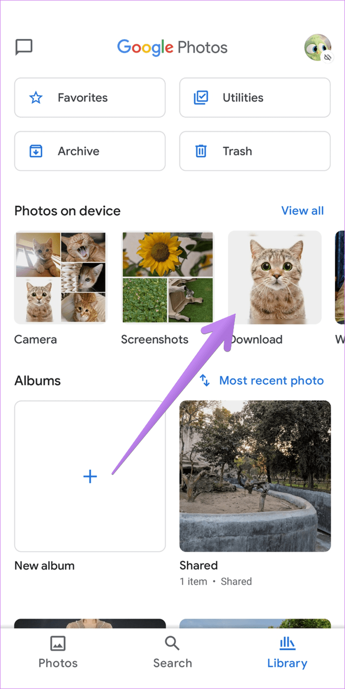 Create collage in google photos mobile and computer 13