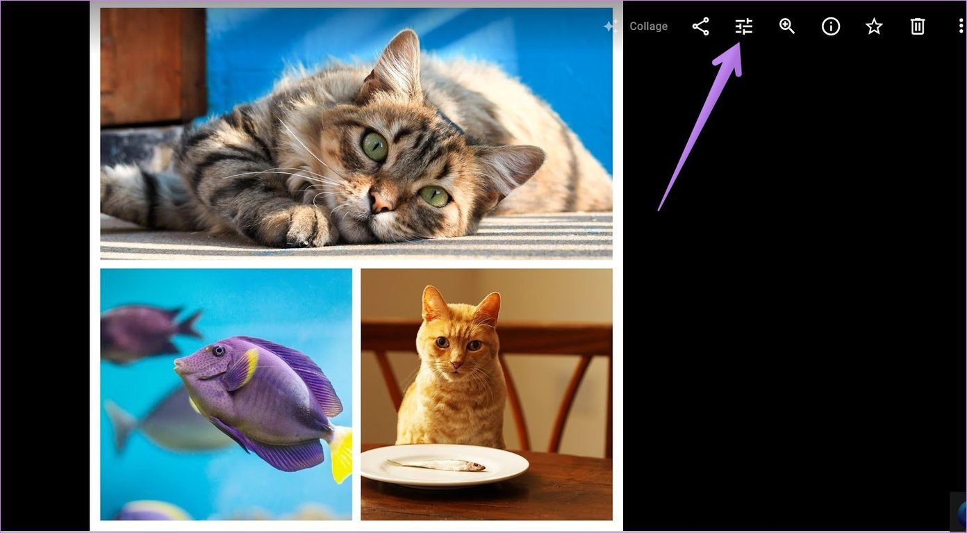 Create collage in google photos mobile and computer 4