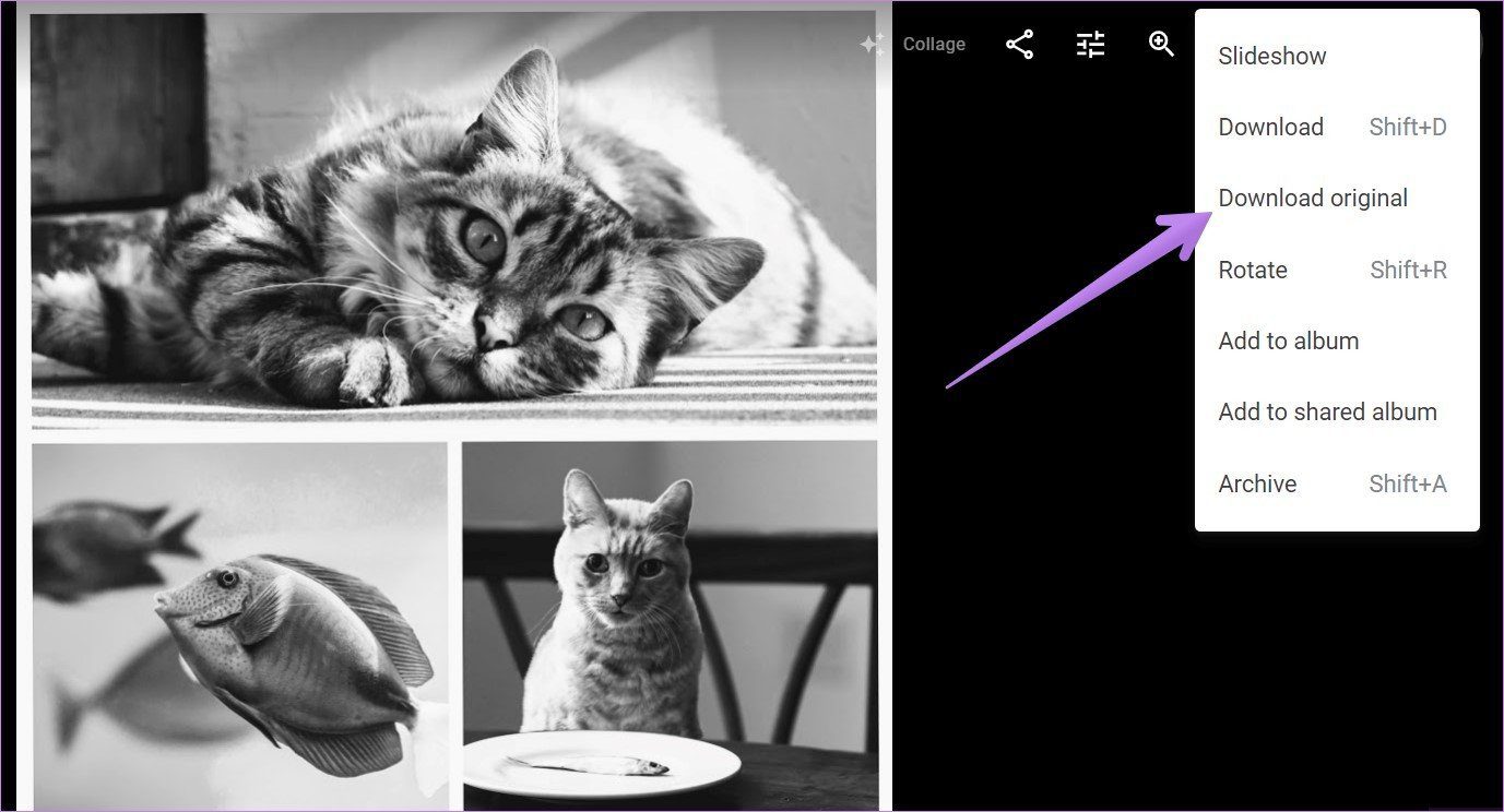 Create collage in google photos mobile and computer 7